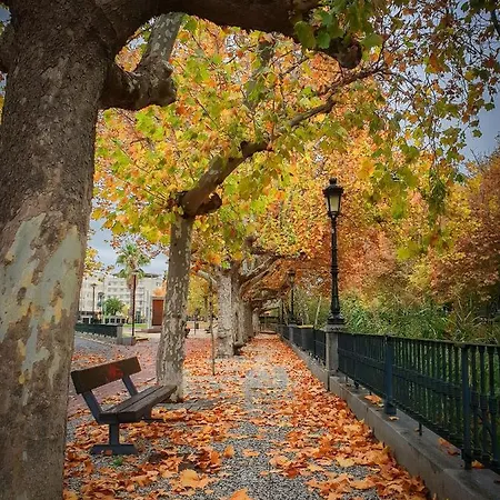 アパート Exclusivo Tapas El Tubo Checkin 24h Centro 1 サラゴサ